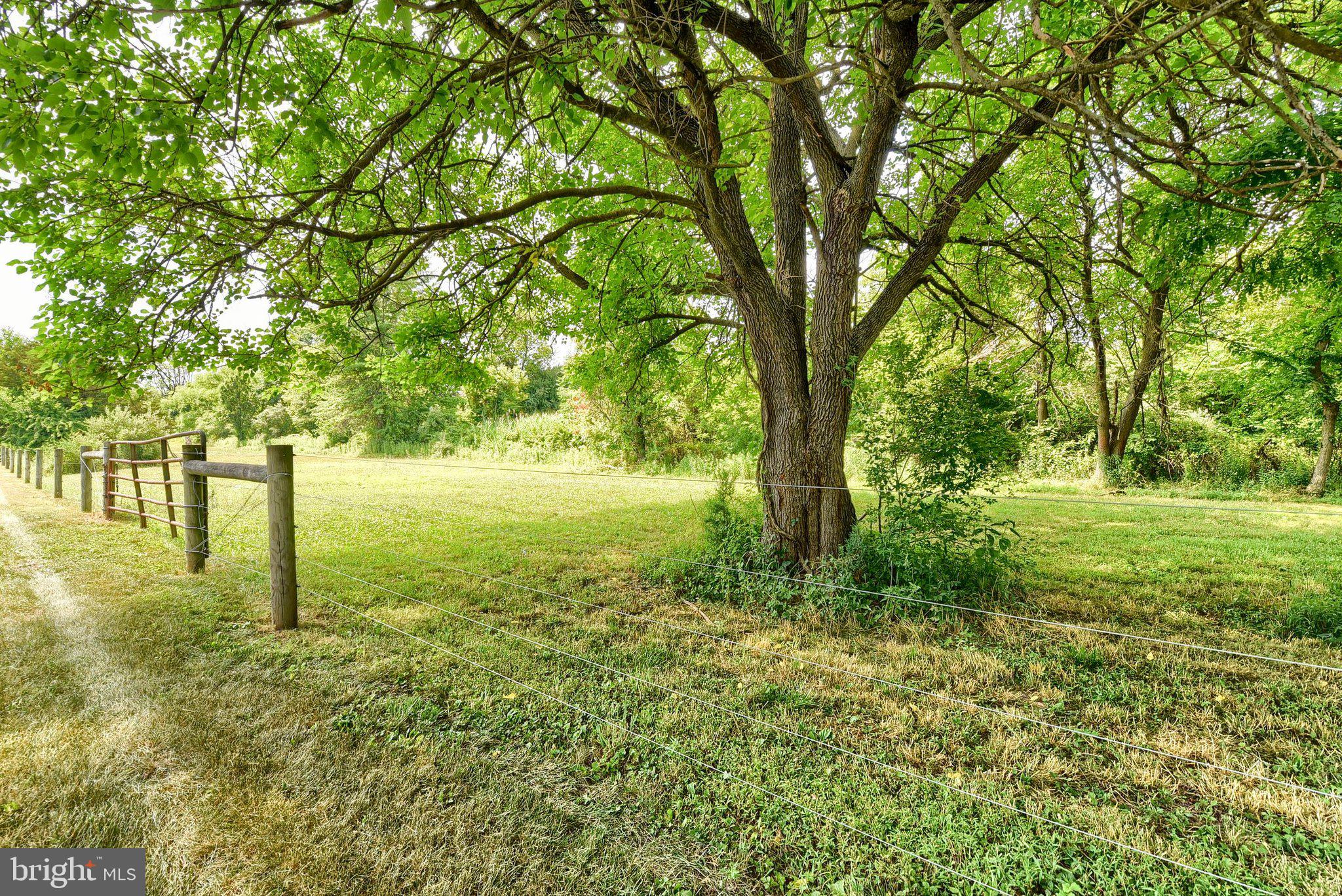 3740 Beagle Road Middletown, PA 17057 - Photo 70 of 70 a view of outdoor space with trees all around
