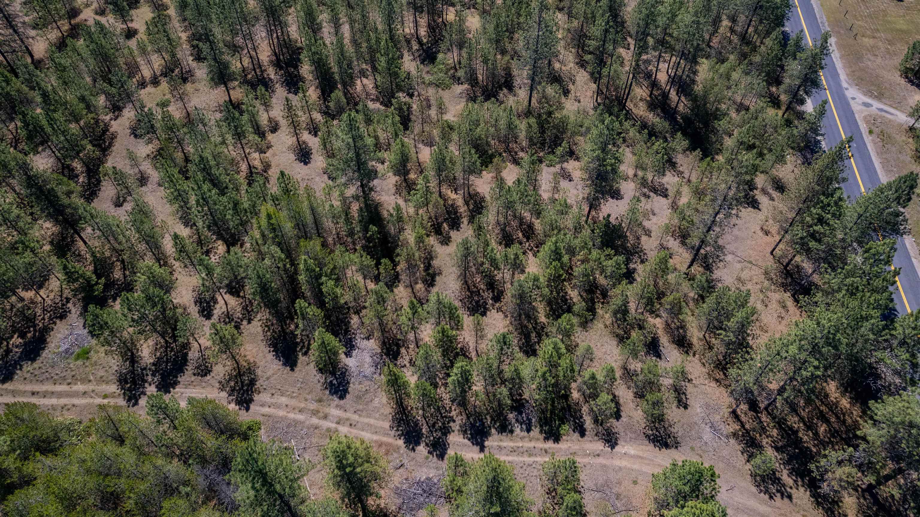 29-xxx North Hardesty Road Chattaroy, WA 99003 - Photo 28 of 40