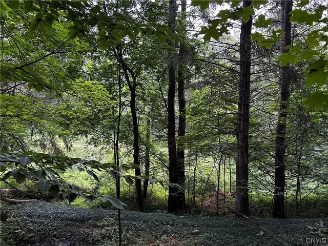 $10,000 | 9577 Summit Road, Paris, NY 13318