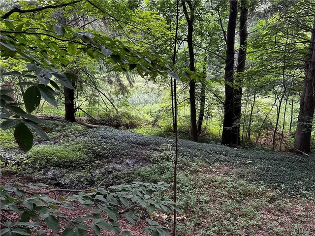 $10,000 | 9577 Summit Road, Paris, NY 13318