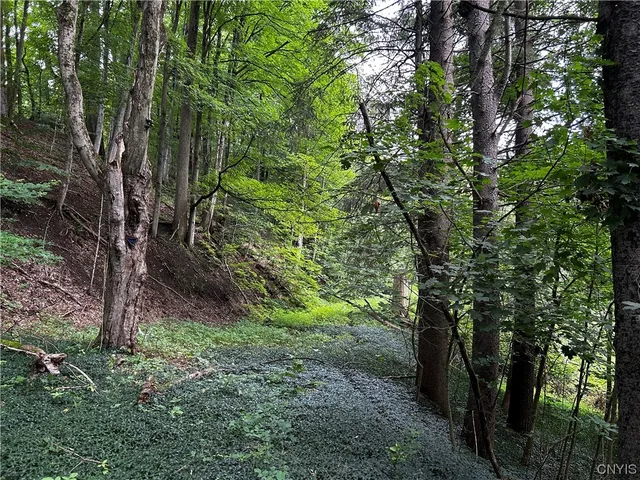 $10,000 | 9577 Summit Road, Paris, NY 13318