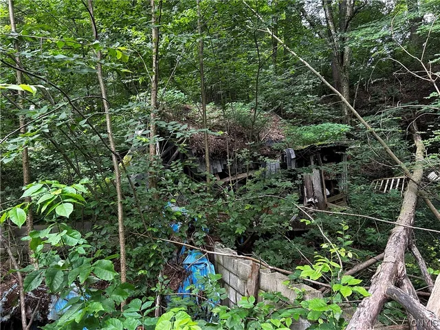 $10,000 | 9577 Summit Road, Paris, NY 13318