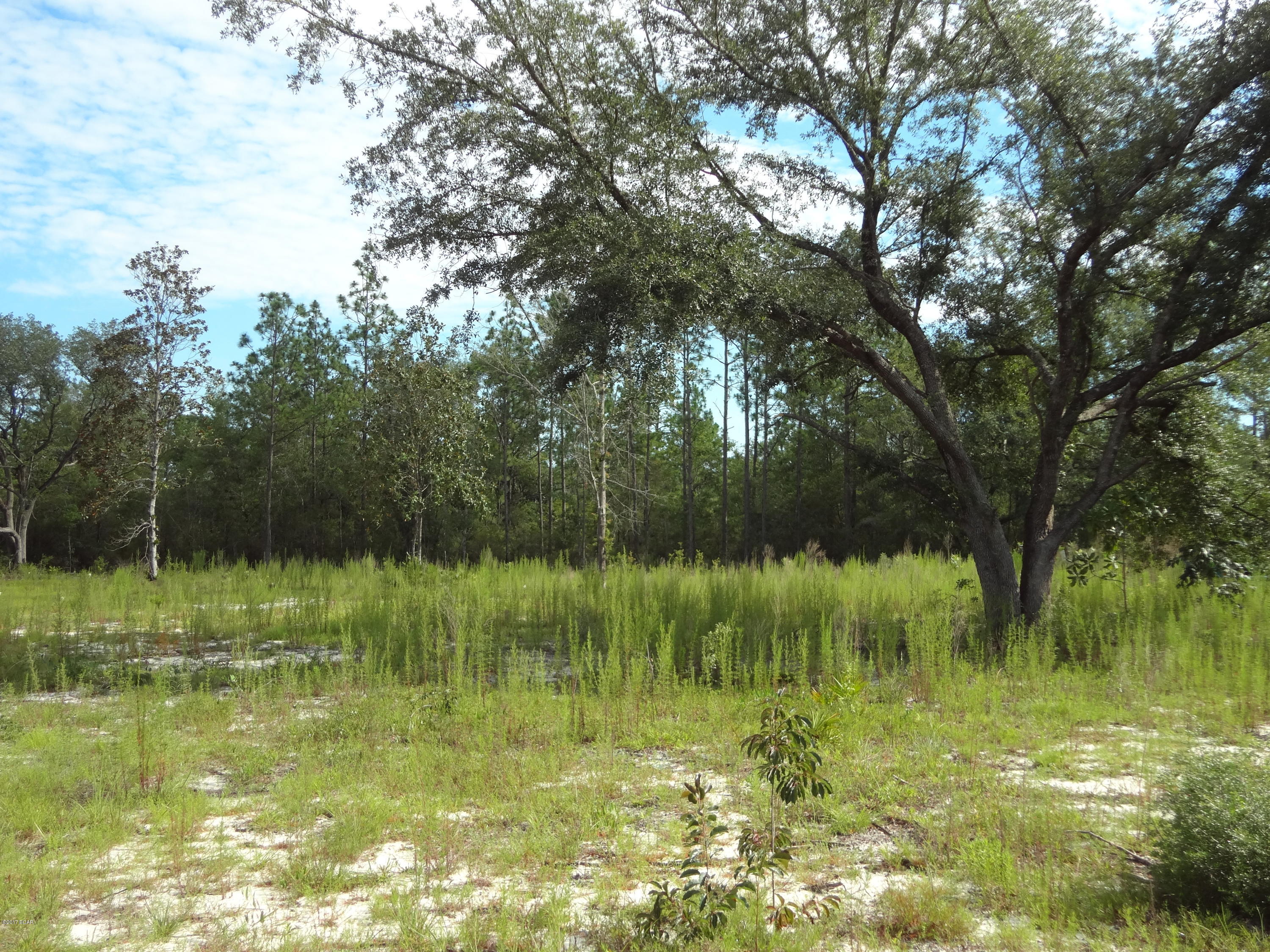 6421 North Ridge Road Youngstown, FL 32466 - Photo 1 of 15 Gallery Image 1