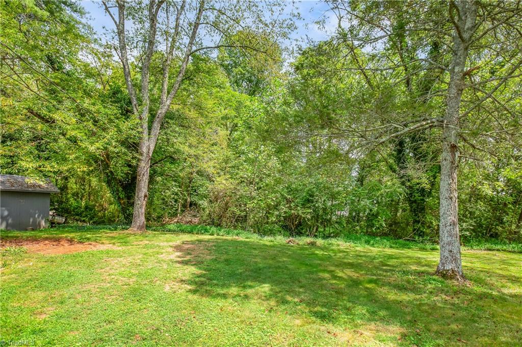 219 Hamby Mountain Road Purlear, NC 28665 - Photo 19 of 27 Gallery Image 19
