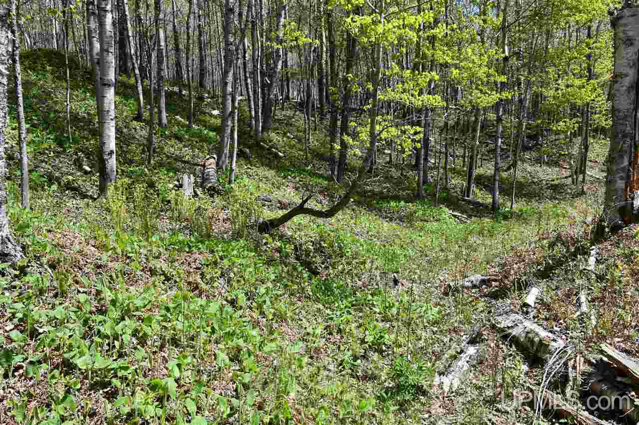 E456 Lake Road Ironwood, MI 49938 - Photo 13 of 39