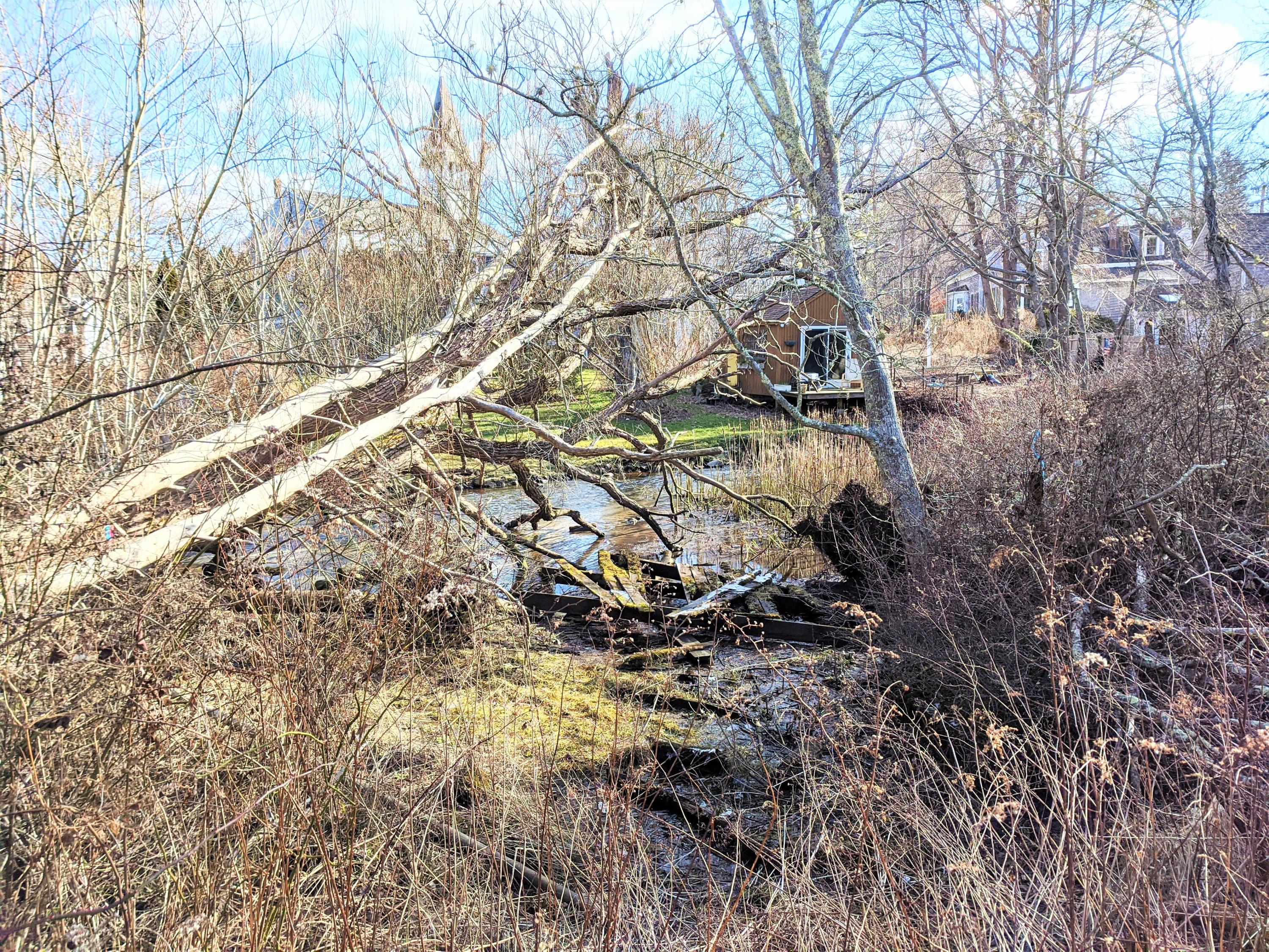 119 Tupper Road Sandwich, MA 02563 - Photo 26 of 32 a backyard of a house with lots of green space