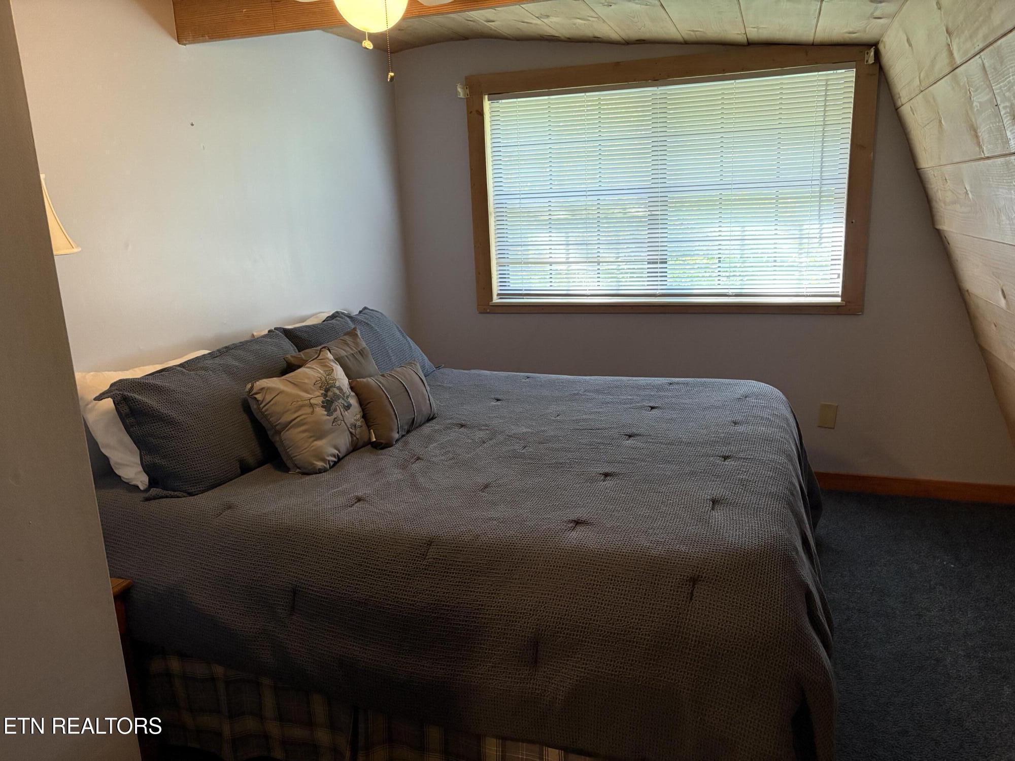 219 Gold Miners Road Tellico Plains, TN 37385 - Photo 17 of 28 IMG_0194