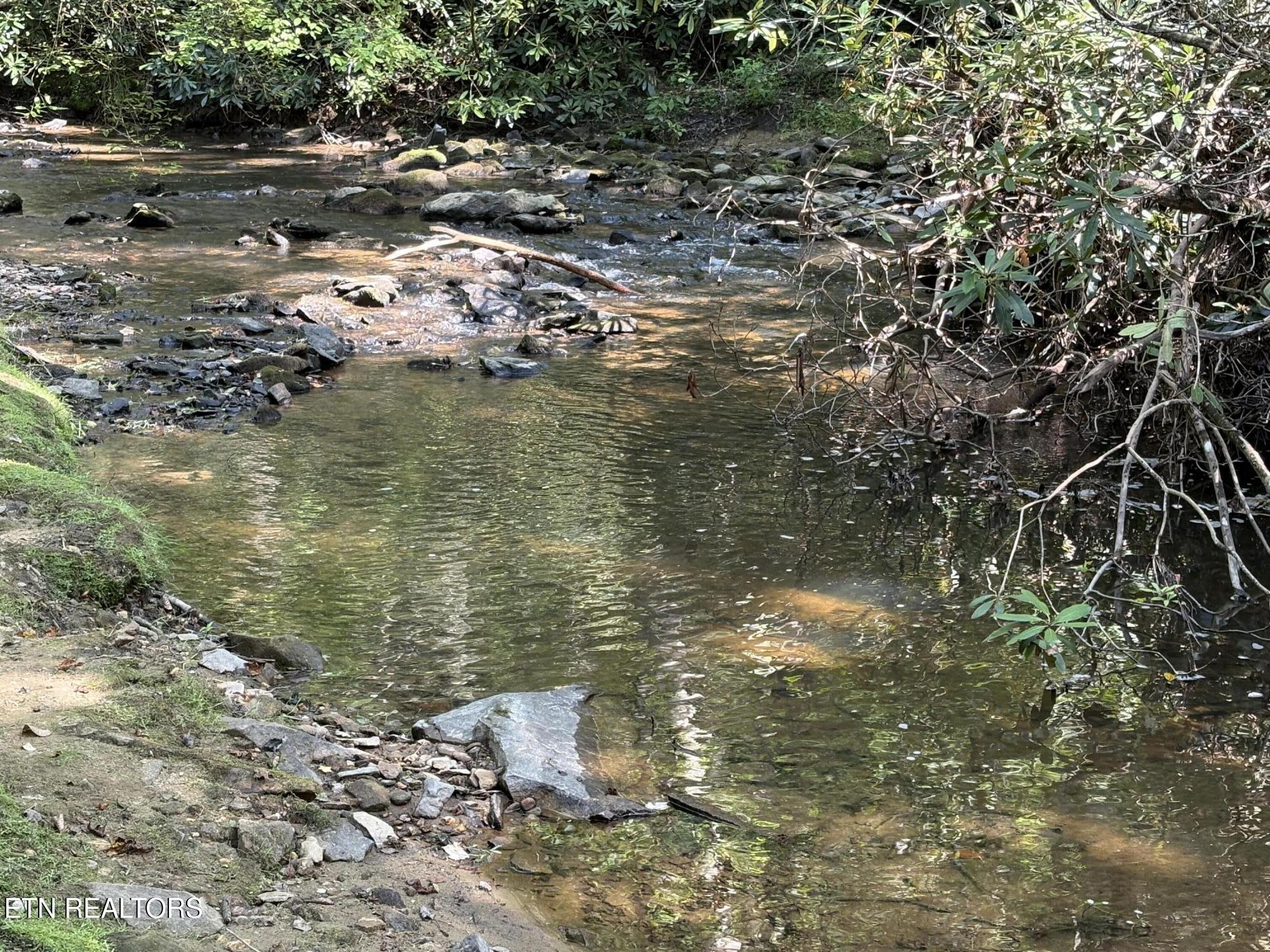 219 Gold Miners Road Tellico Plains, TN 37385 - Photo 2 of 28 IMG_0178