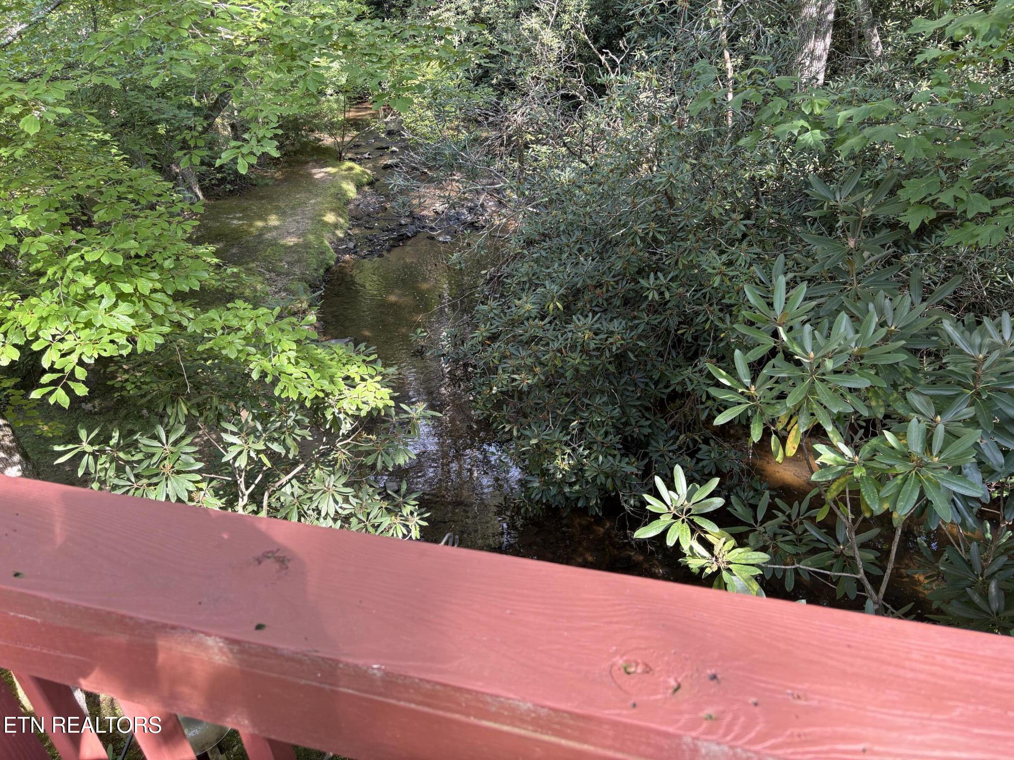 219 Gold Miners Road Tellico Plains, TN 37385 - Photo 21 of 28 IMG_0199