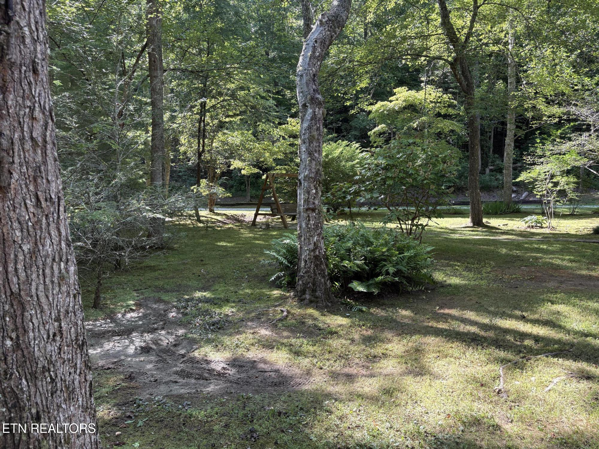 219 Gold Miners Road Tellico Plains, TN 37385 - Photo 23 of 28 IMG_0176