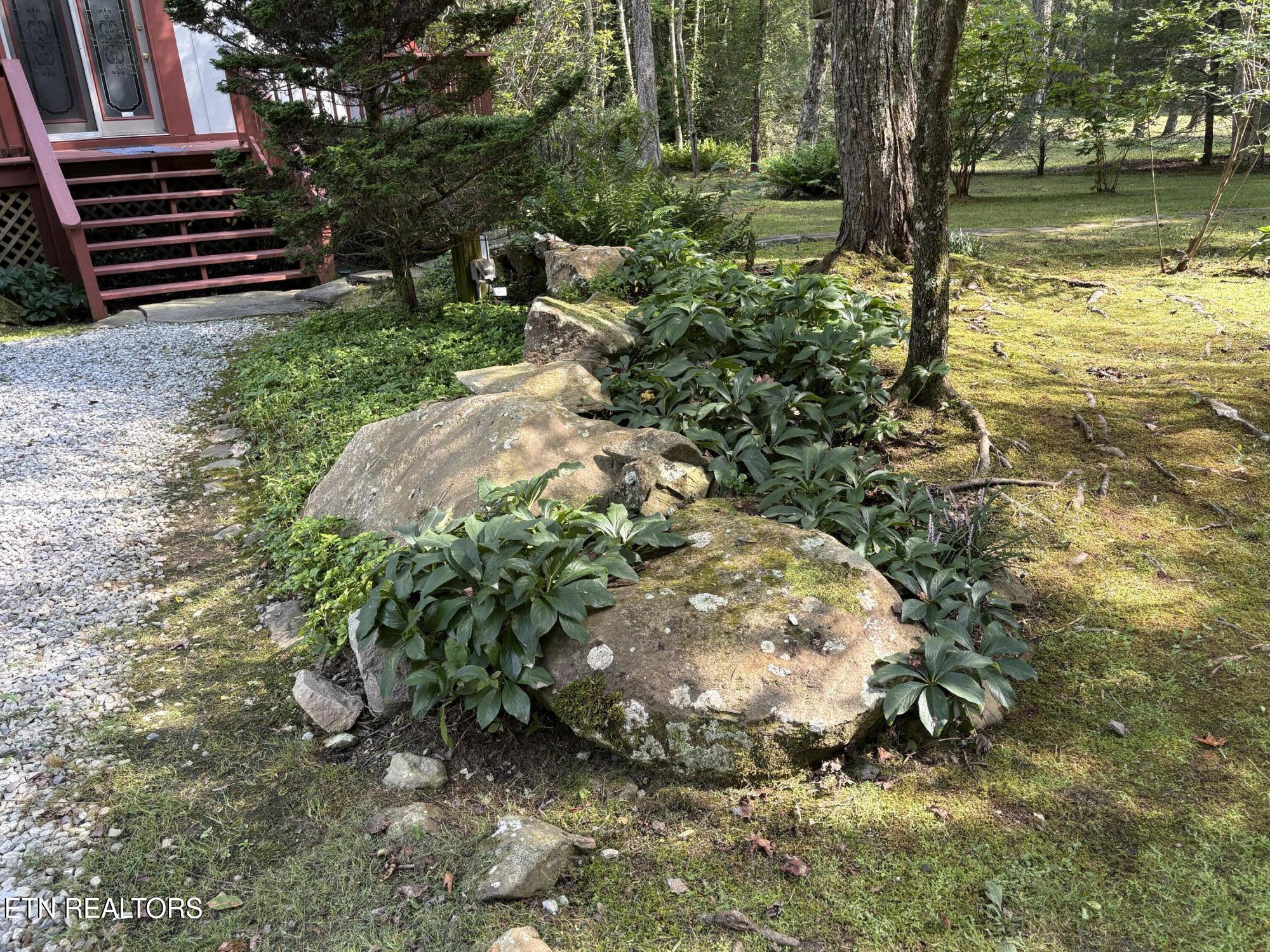 219 Gold Miners Road Tellico Plains, TN 37385 - Photo 24 of 28 IMG_0175