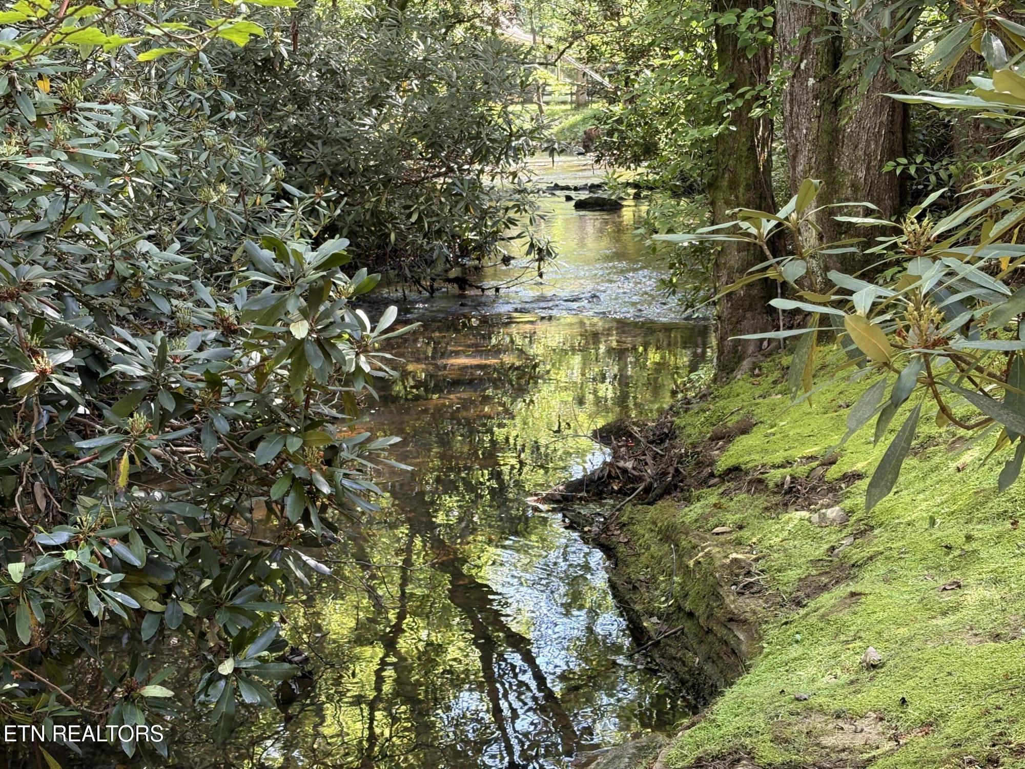 219 Gold Miners Road Tellico Plains, TN 37385 - Photo 3 of 28 IMG_0179