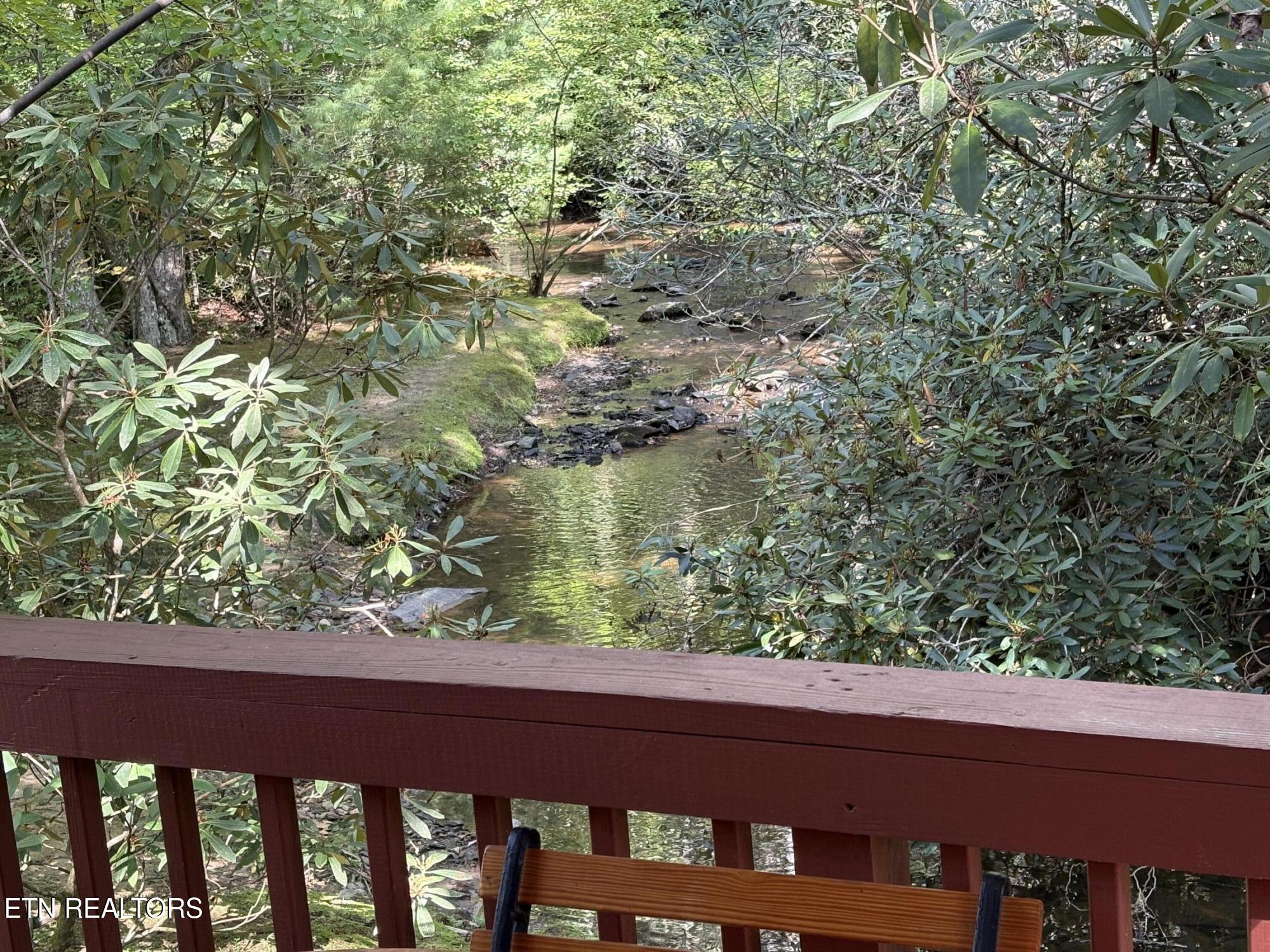 219 Gold Miners Road Tellico Plains, TN 37385 - Photo 4 of 28 IMG_0180