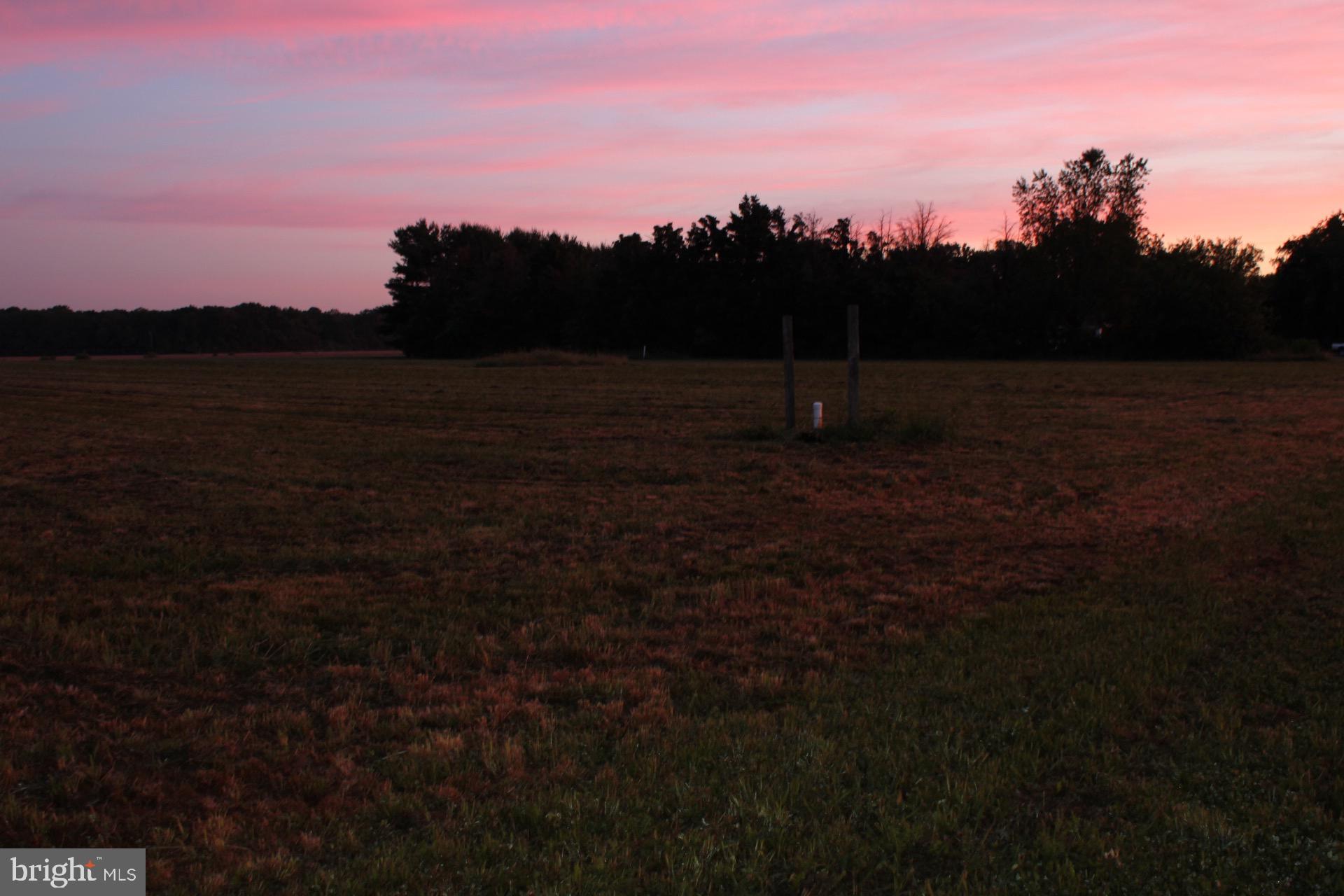 0 Thawley Road Denton, MD 21629 - Photo 25 of 29 Gallery Image 25