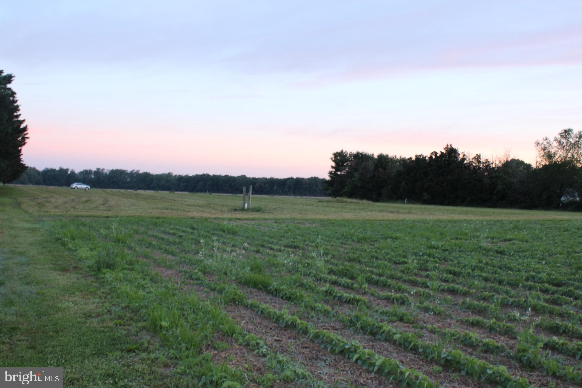 0 Thawley Road Denton, MD 21629 - Photo 10 of 29 Gallery Image 10