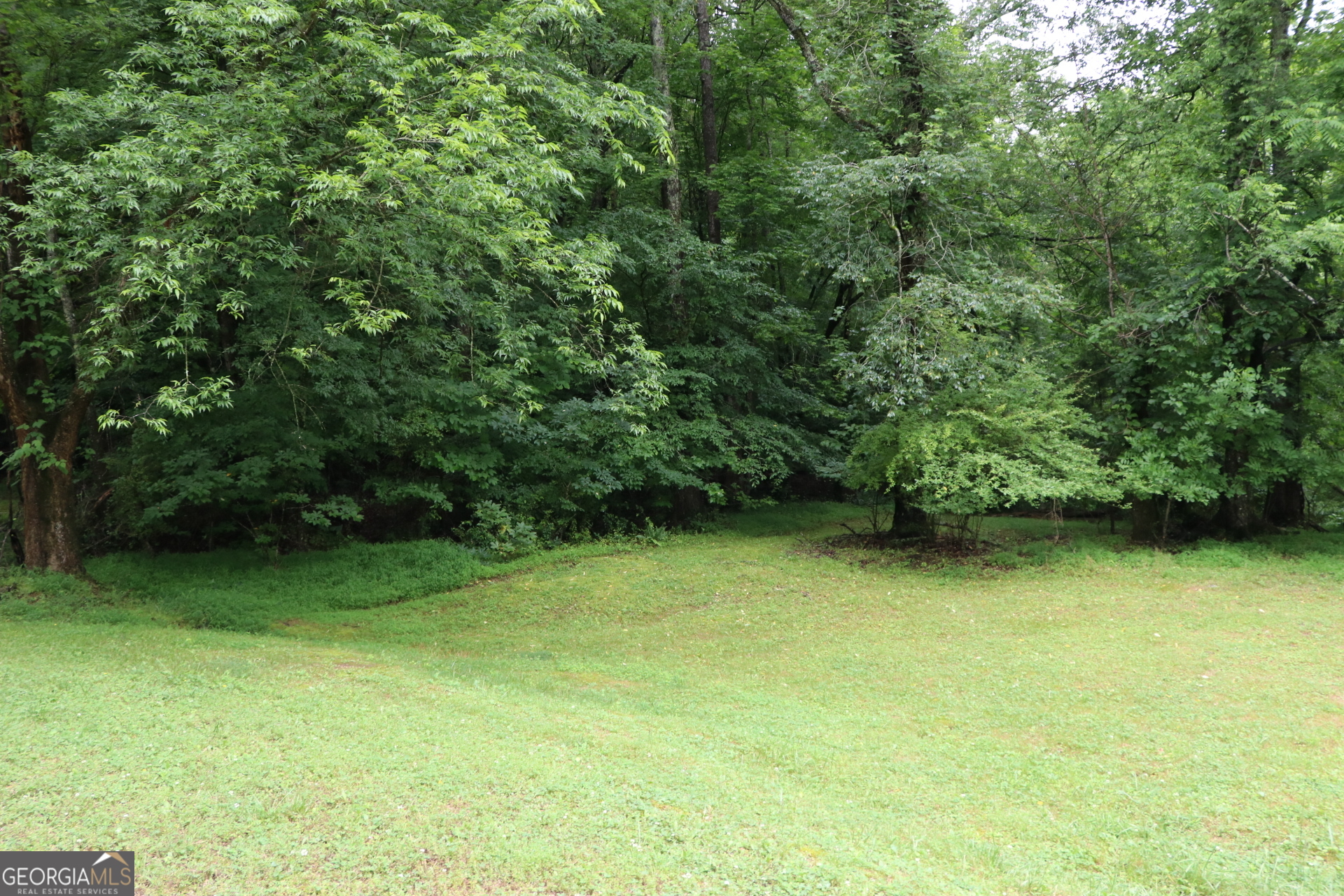 833 Neal Gap Road Summerville, GA 30747 - Photo 49 of 86