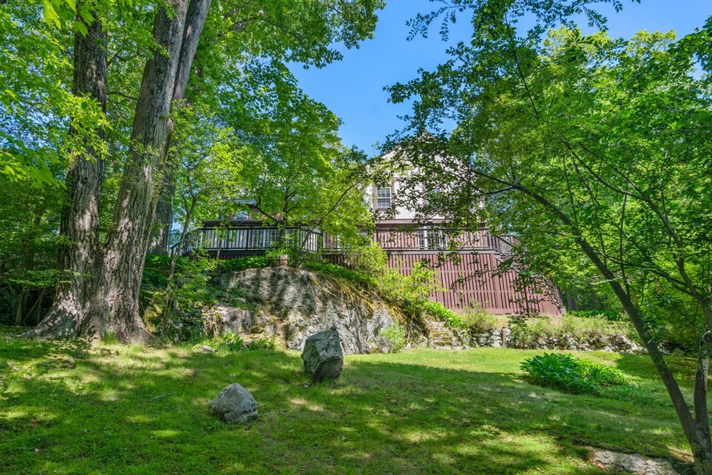 63 Bonad Road Newton, MA 02465 - Photo 14 of 15