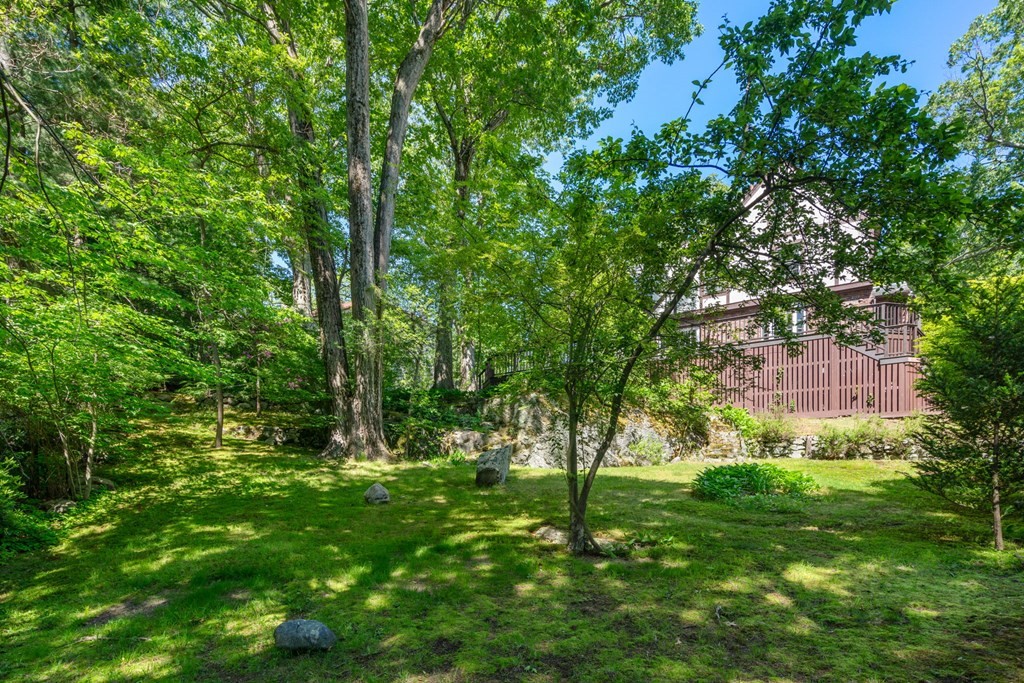 63 Bonad Road Newton, MA 02465 - Photo 15 of 15 a green field with lots of bushes