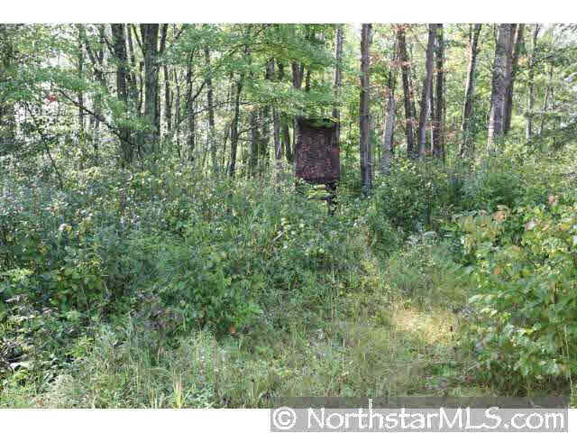 21979 Lewis Road Finlayson, MN 55735 - Photo 9 of 9 Gallery Image 9