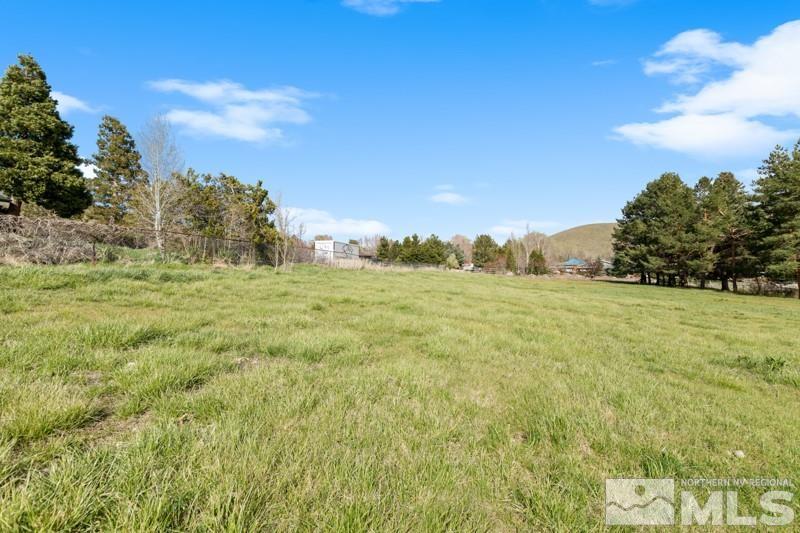 21025 Ames Lane Reno, NV 89521 - Photo 28 of 34 a big yard with lots of green space