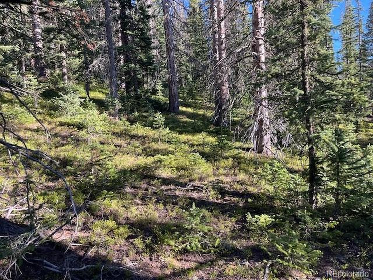 6525 Schlueter Road San Luis, CO 81152 - Photo 7 of 21