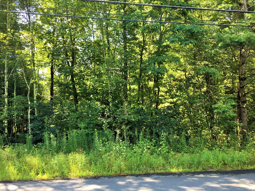 0 Randall Road Montague, MA 01351 - Photo 1 of 4 Gallery Image 1