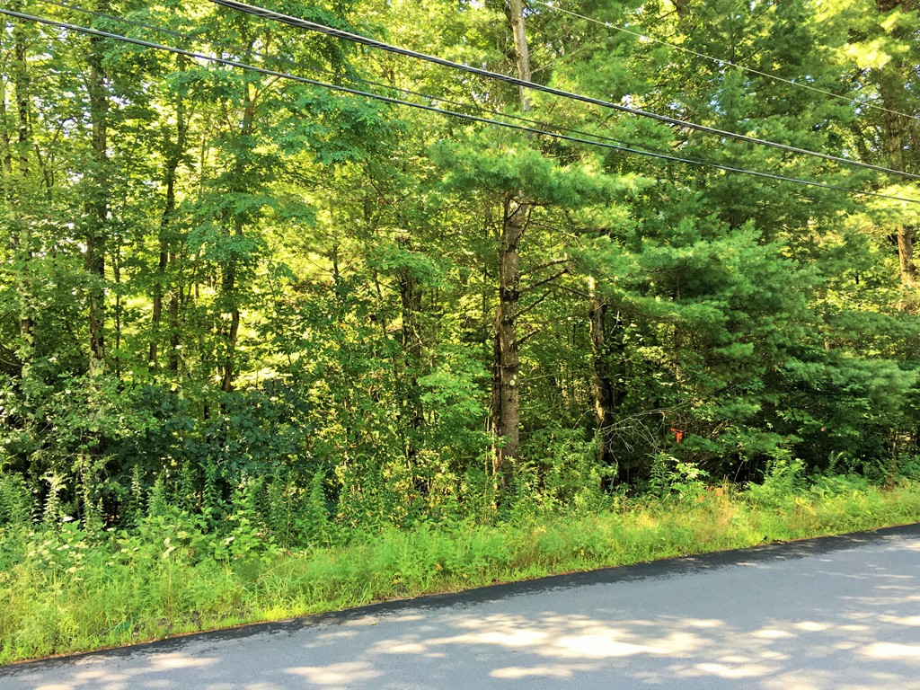 0 Randall Road Montague, MA 01351 - Photo 2 of 4 Gallery Image 2