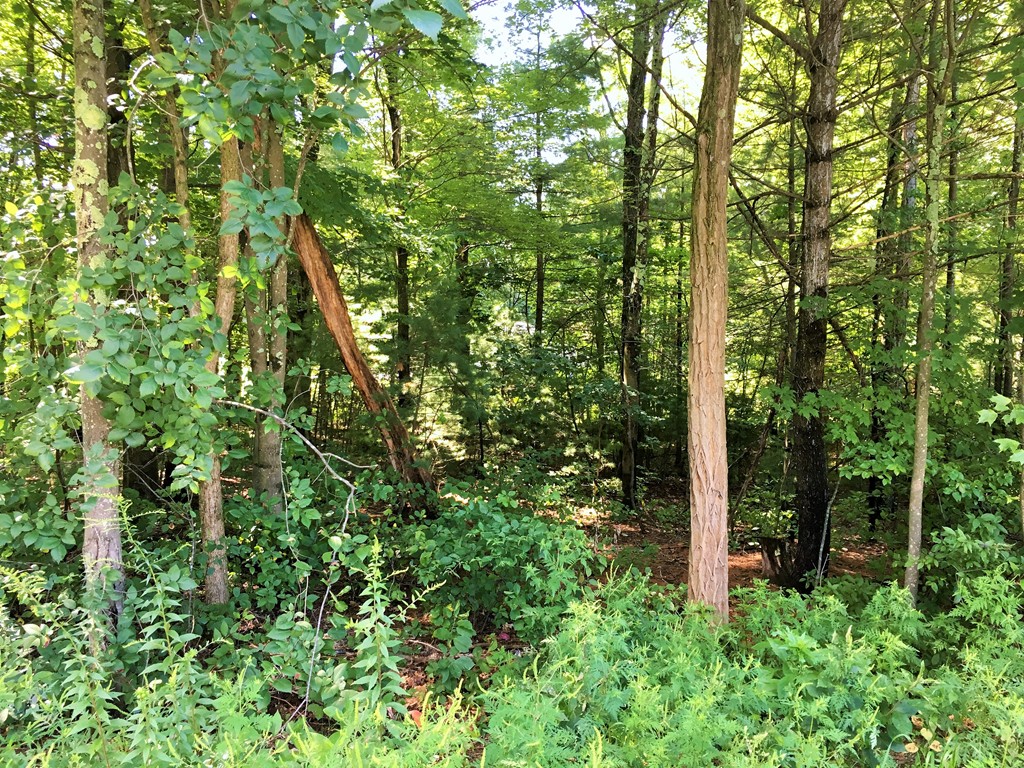 0 Randall Road Montague, MA 01351 - Photo 3 of 4 Gallery Image 3
