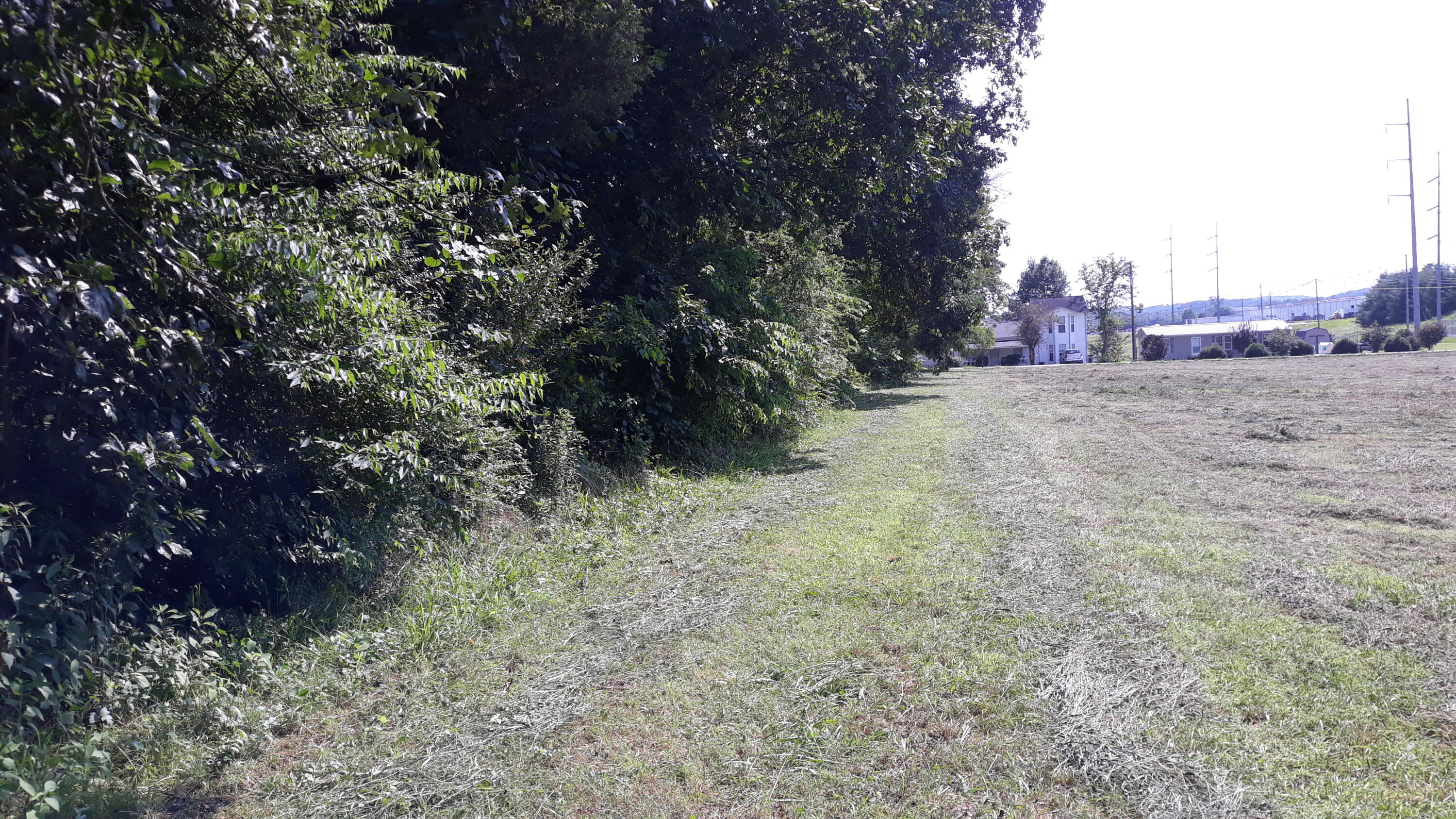 239 Brooks Gap Road Clinton, TN 37716 - Photo 5 of 10 20190726_162913