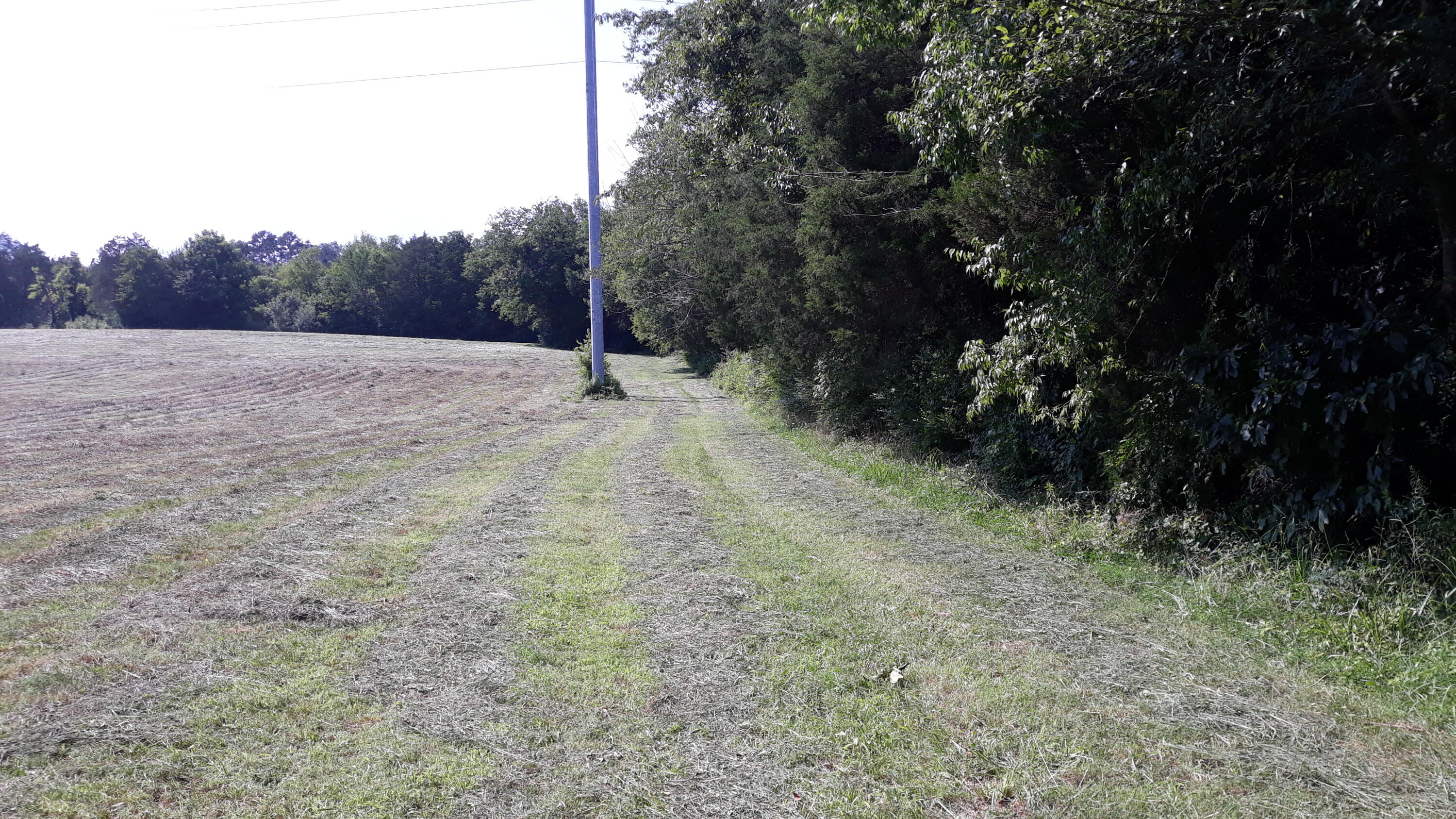 239 Brooks Gap Road Clinton, TN 37716 - Photo 7 of 10 20190726_162916
