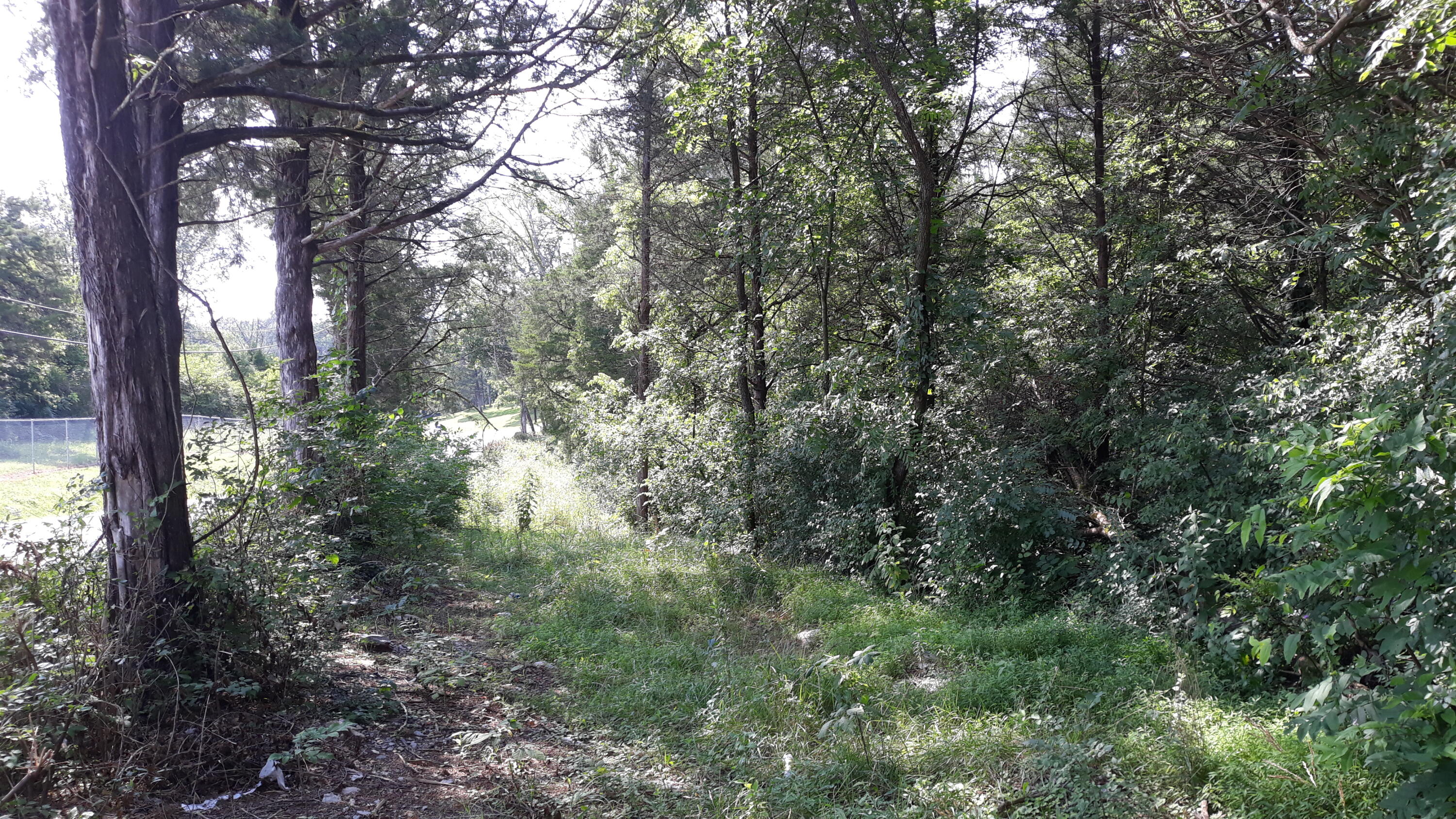 239 Brooks Gap Road Clinton, TN 37716 - Photo 8 of 10 20190726_163645