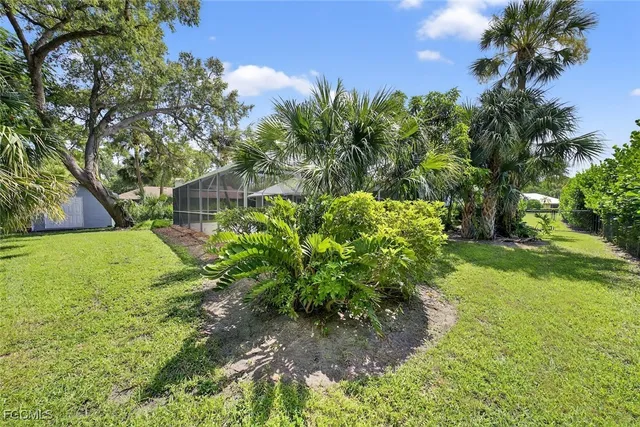 a view of a yard with plants and large trees