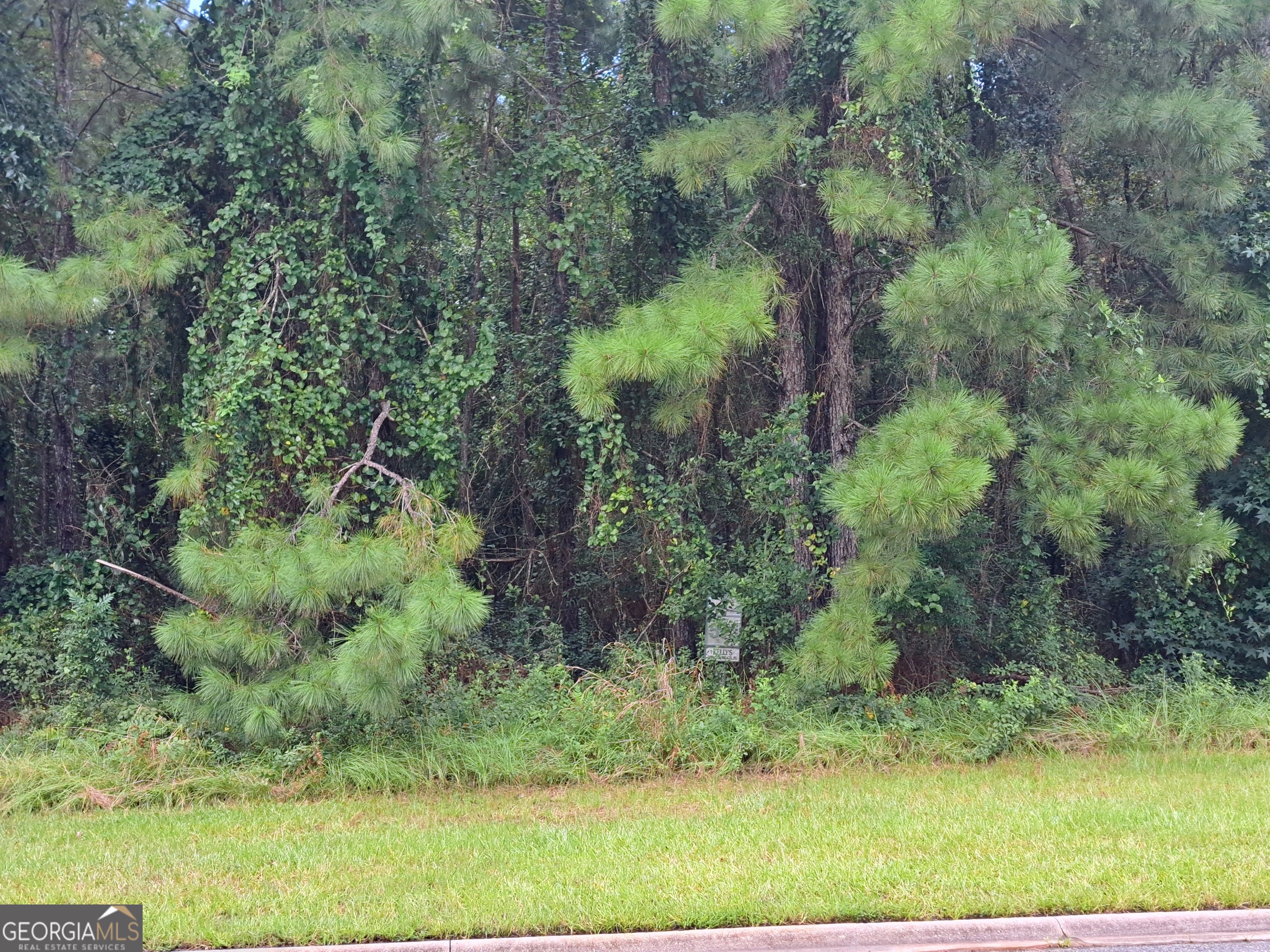 V/l 571 Shoreline Dr  