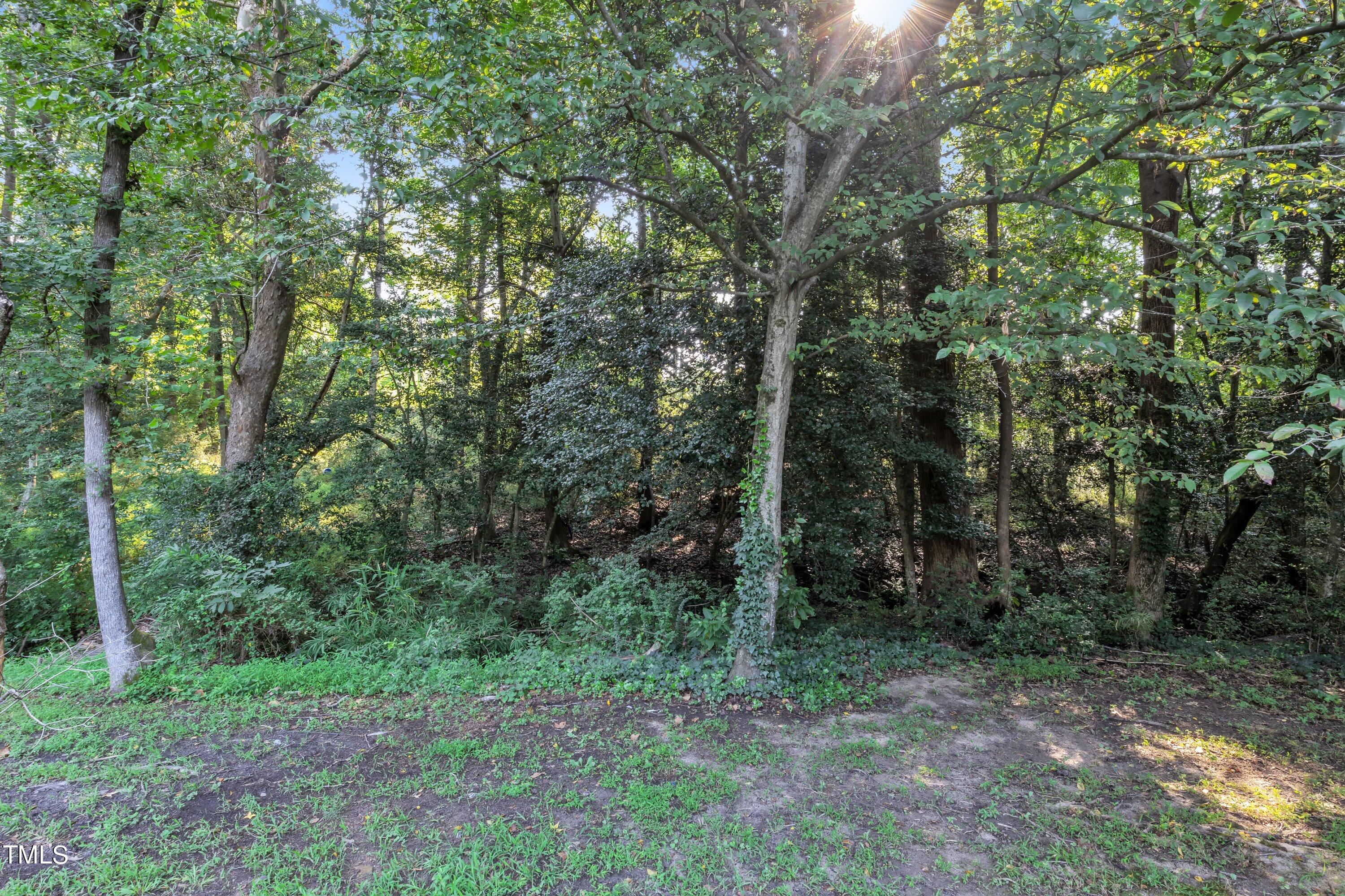 4617 Cherrybark Lane Raleigh, NC 27616 - Photo 47 of 53 a view of a forest with trees in the background