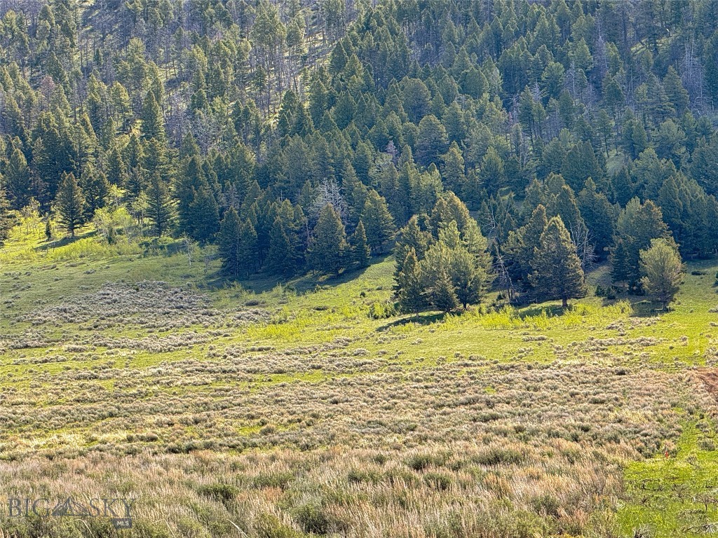 2-4a Continental Divide Road Cameron, MT 59720 - Photo 5 of 37 Gallery Image 5