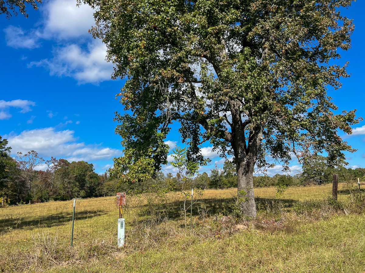 1 Fm 355 Trinity, TX 75862 - Photo 3 of 7 a backyard of a house with a yard