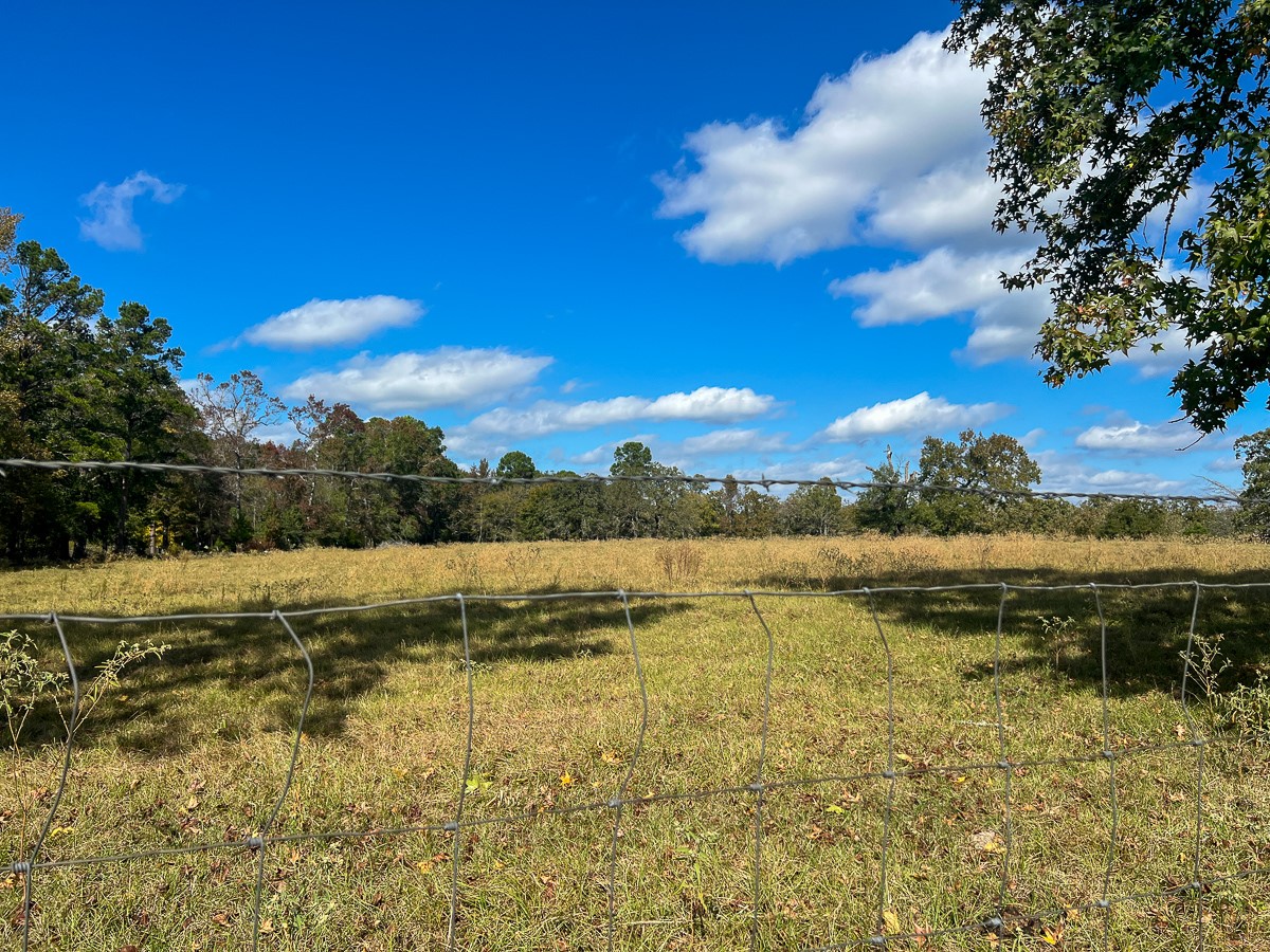 1 Fm 355 Trinity, TX 75862 - Photo 5 of 7 a view of an ocean