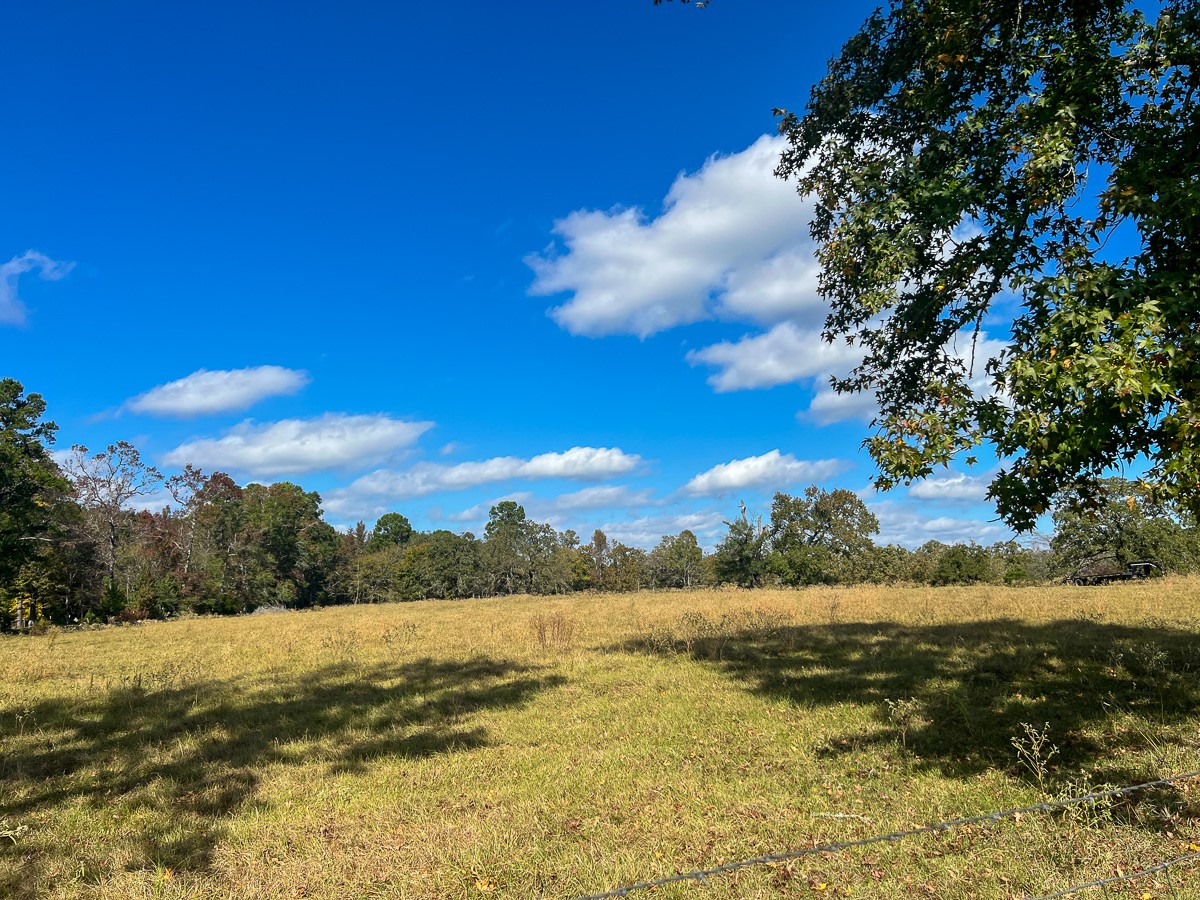 1 Fm 355 Trinity, TX 75862 - Photo 6 of 7 a view of lake and mountain