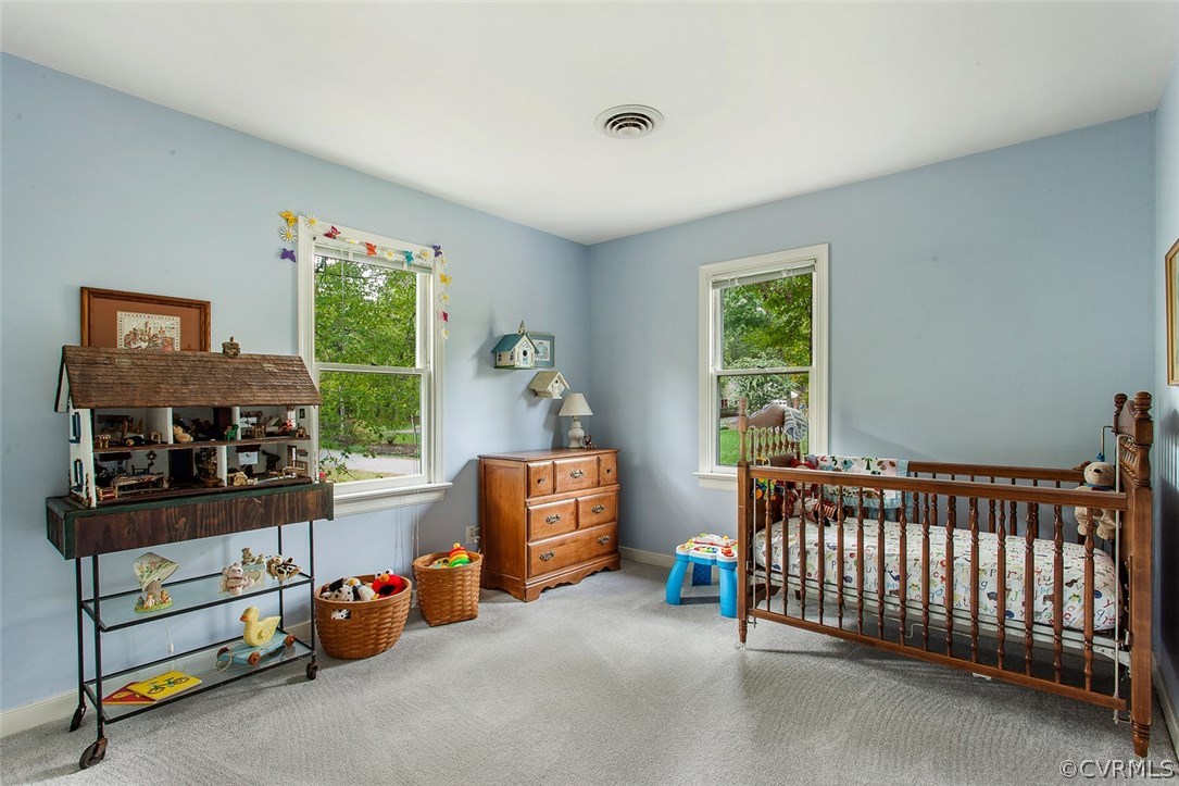 1136 Castle Hollow Road Midlothian, VA 23114 - Photo 22 of 33 Gallery Image 22