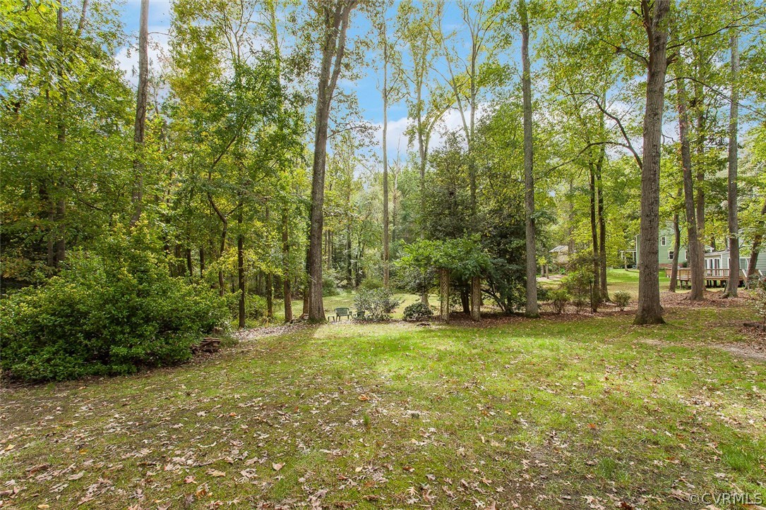 1136 Castle Hollow Road Midlothian, VA 23114 - Photo 30 of 33 Gallery Image 30