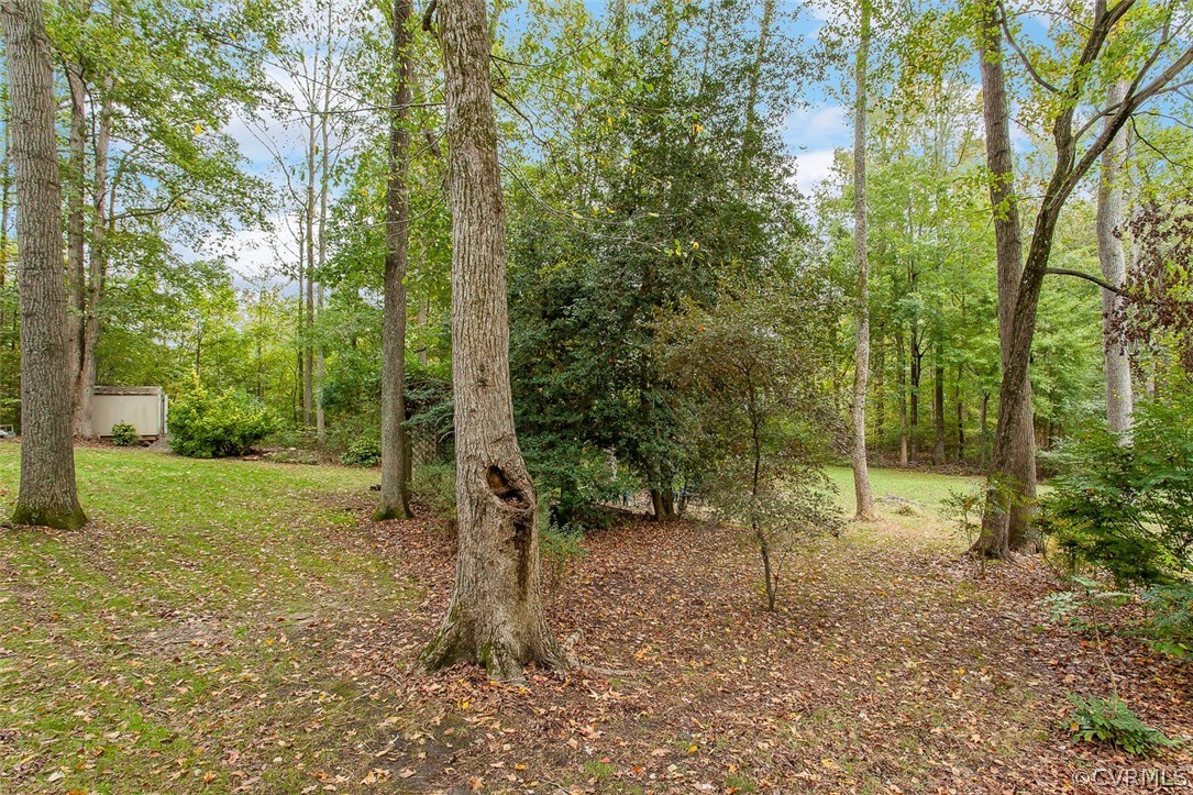 1136 Castle Hollow Road Midlothian, VA 23114 - Photo 31 of 33 Gallery Image 31