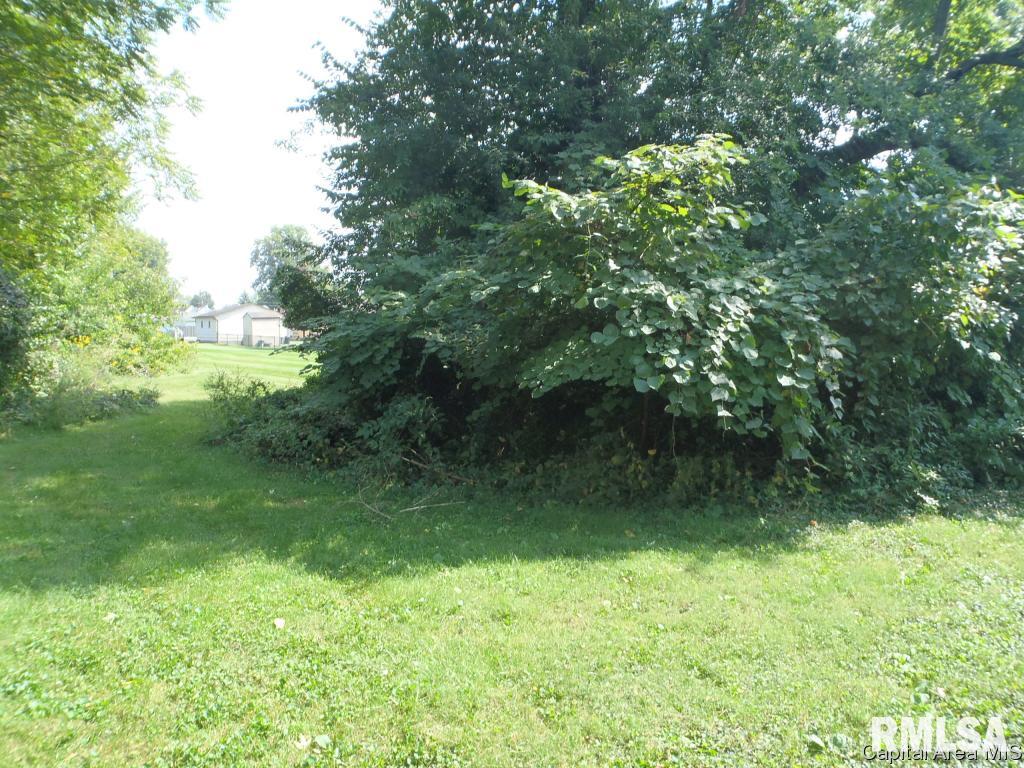 3018 South 3rd Street Springfield, IL 62703 - Photo 12 of 15