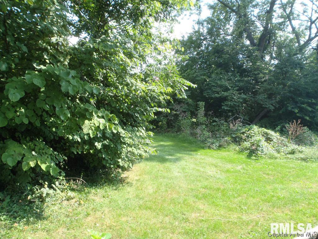 3018 South 3rd Street Springfield, IL 62703 - Photo 13 of 15