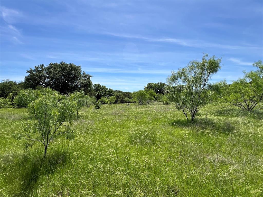 Tbd Lake Creek Road Gordon, TX 76453 - Photo 11 of 18 a big yard with lots of green space