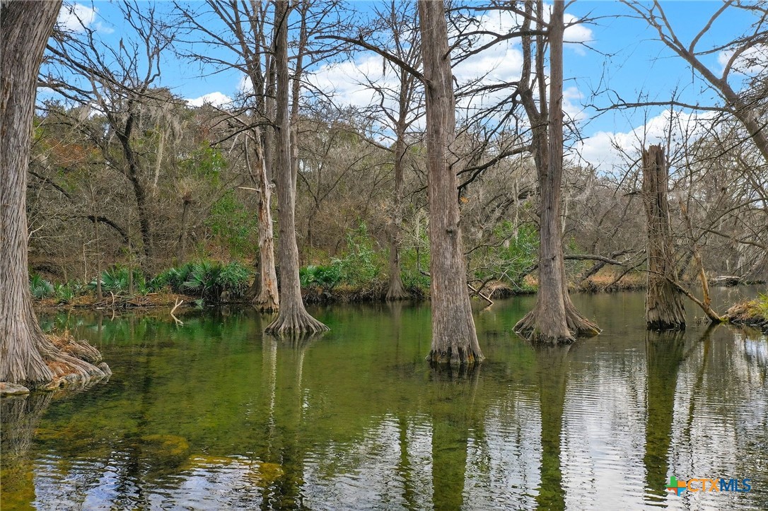 143 Bluff View Drive Spring Branch, TX 78070 - Photo 23 of 27