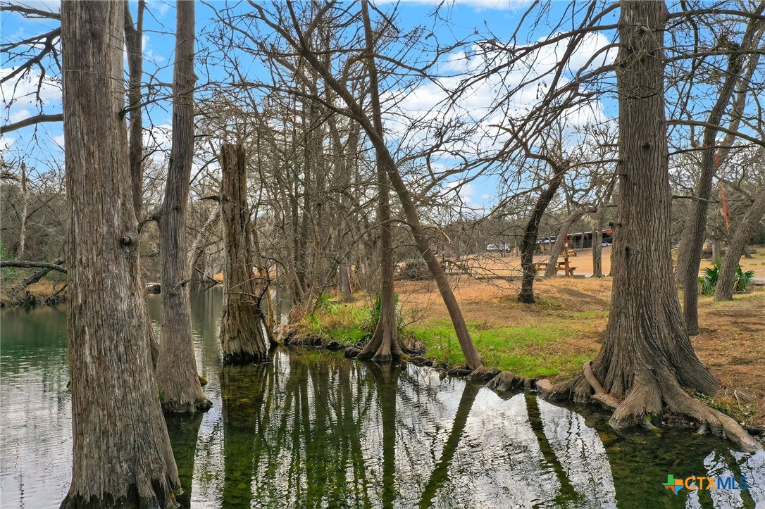 143 Bluff View Drive Spring Branch, TX 78070 - Photo 24 of 27