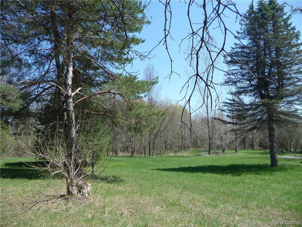 5375 Spears Road Pinckney, MI 48169 - Photo 2 of 10