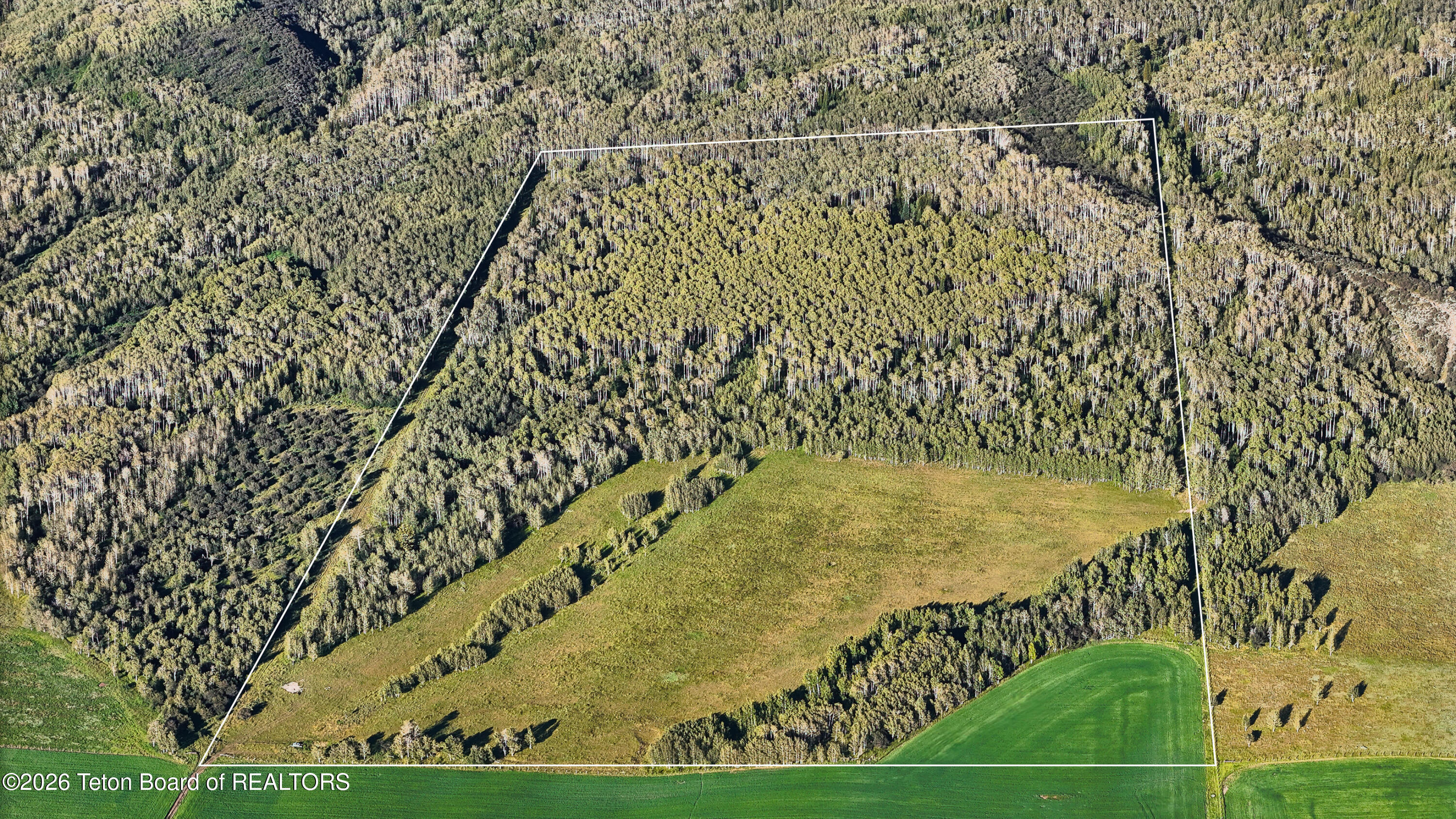 Tbd South Stateline Road Alta, WY 83414 - Photo 16 of 39 TBD Stateline Rd Alta_MLS-7