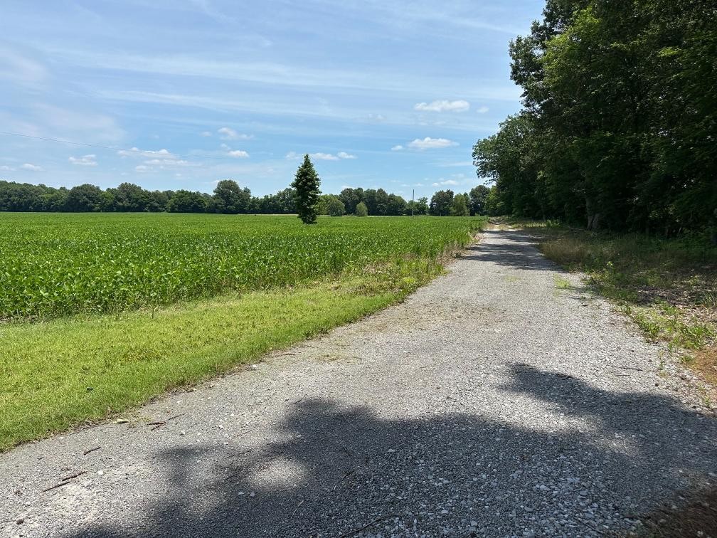 4996 Arch Thompson Road Union City, TN 38261 - Photo 10 of 13