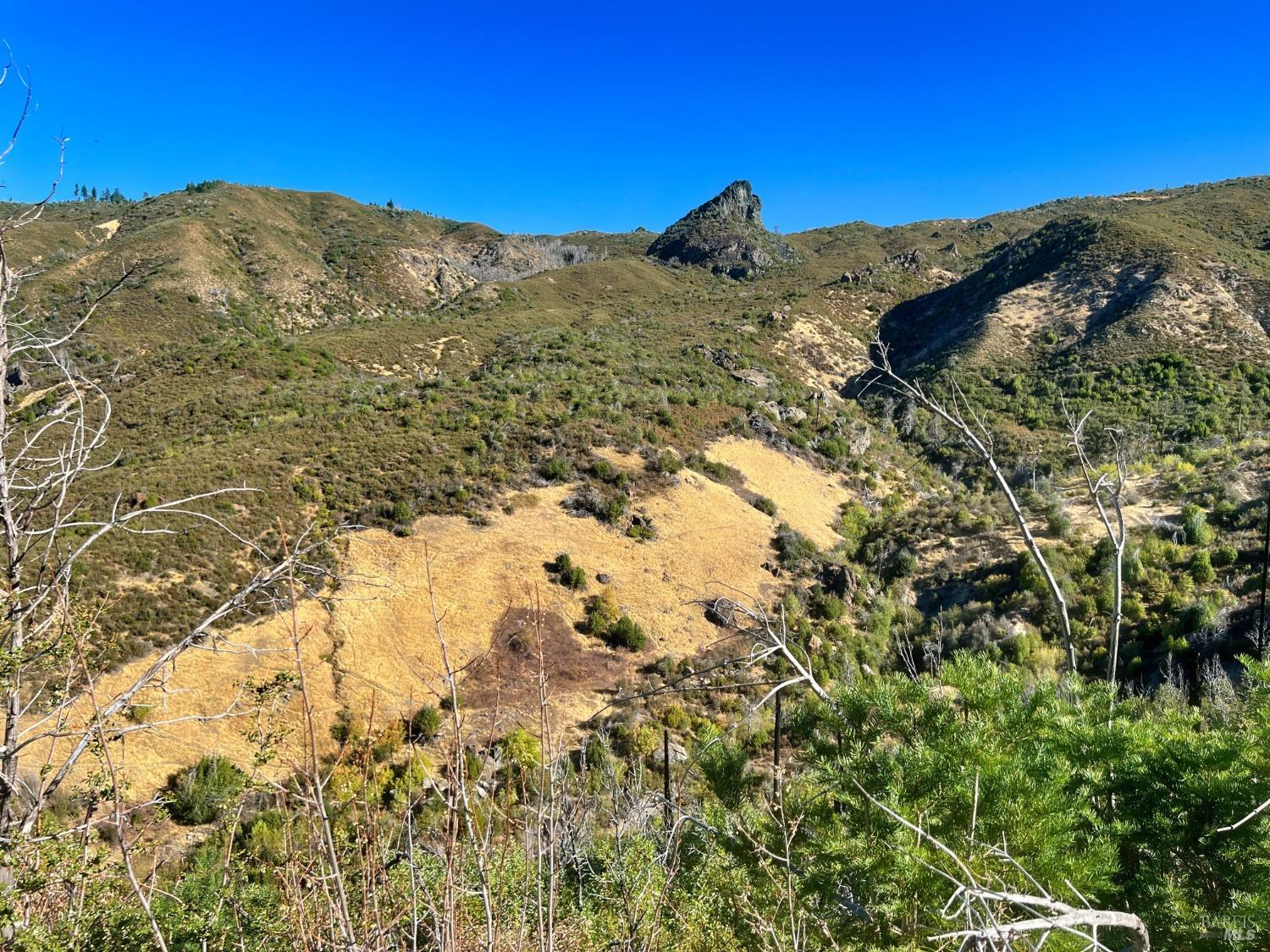 11634 Pitney Ridge Road Upper Lake, CA 95485 - Photo 1 of 1 Gallery Image 1